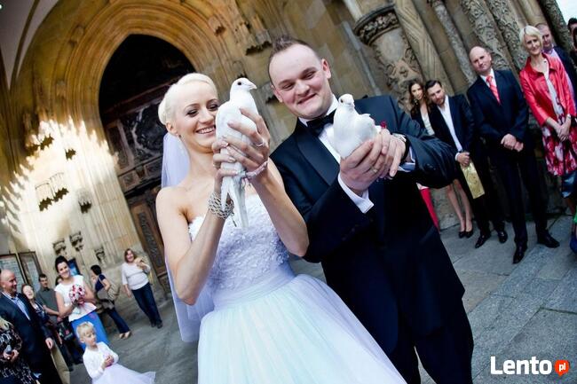 Białe gołębie na ślub (woj.dolnośląskie i opolskie)
