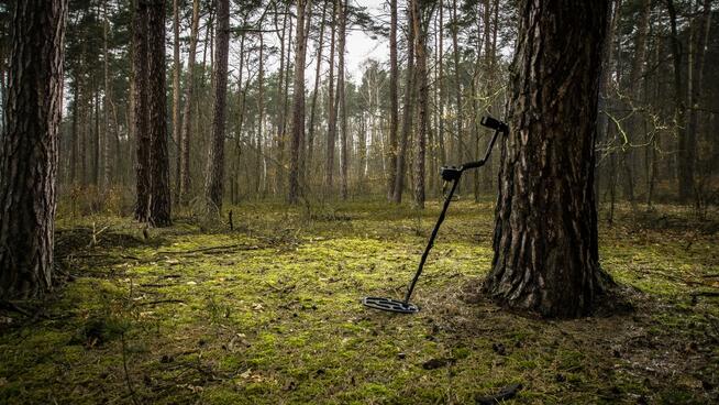 Zappery Armand Hulda Clark i wykrywacze metali Armand