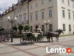 Kuligi Sylwester Karpacz