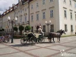 Bryczka powóz konny do ślubu