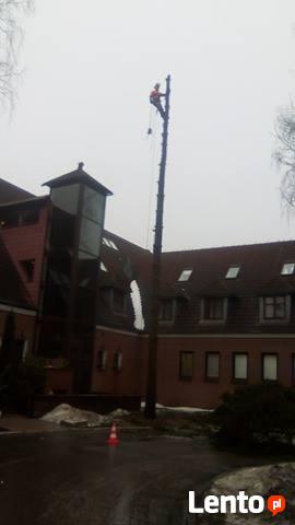 Wycinka Drzew,przycinka,sadzenie