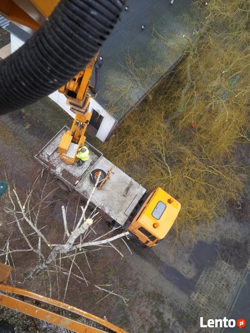 Wycinka Drzew,przycinka,sadzenie