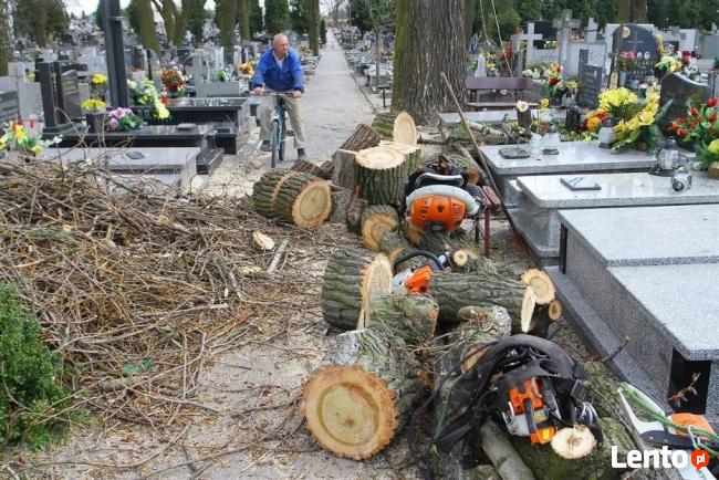 Wycinka Drzew,przycinka,sadzenie