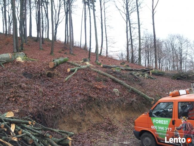 Wycinka Drzew,przycinka,sadzenie