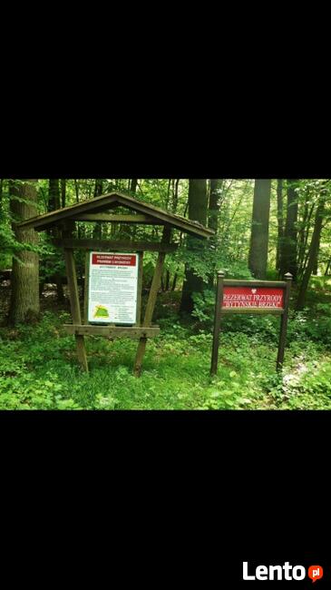 Sprzedam działkę budowlaną