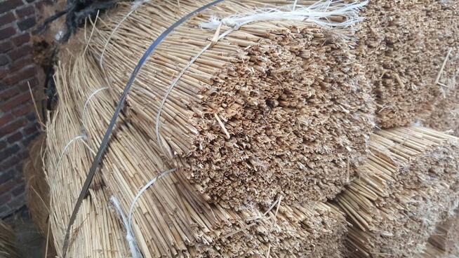 TRZCINA DACHOWA DACHÓWKA NAJWYŻSZA JAKOŚĆ