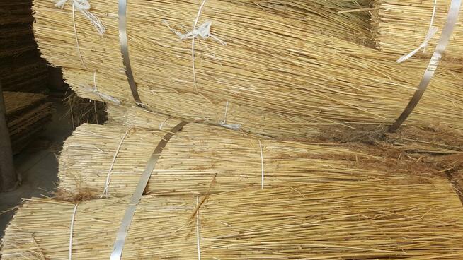 TRZCINA DACHOWA DACHÓWKA NAJWYŻSZA JAKOŚĆ