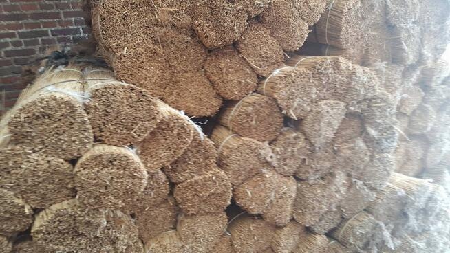 TRZCINA DACHOWA DACHÓWKA NAJWYŻSZA JAKOŚĆ