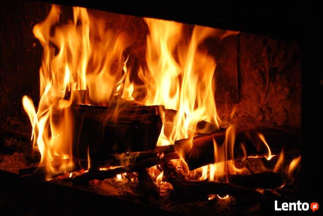 Suche drewno na podpałkę, do kominków, pieców, grillów