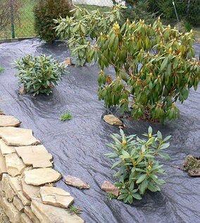 AGROTKANINA MATA POD żwirek KAMIEŃ GRYS otoczak kora chwasty