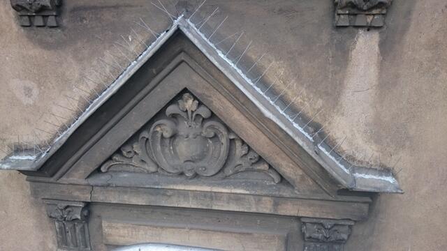 Kolce na ptakia Poznań ,Plewiska, Skórzewo, Komorniki, Luboń