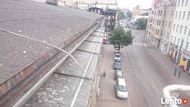 Montaż kolcy na gołębie Poznań, Mosina, Puszczykowo,