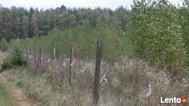 sprzedam las