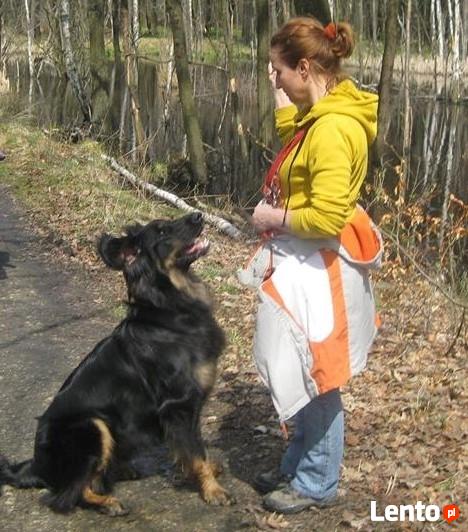 szkolenie psów Myślenice i okolice