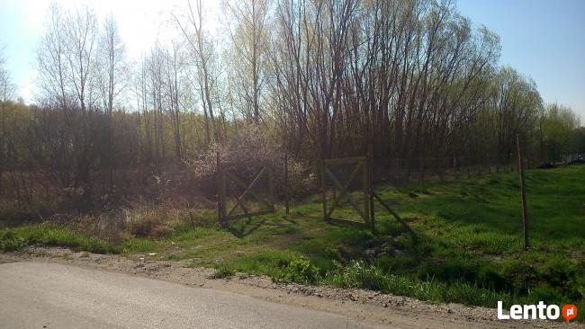 Sprzedam Działkę Budowlaną Tomice, gm. Góra Kalwaria, MPZP