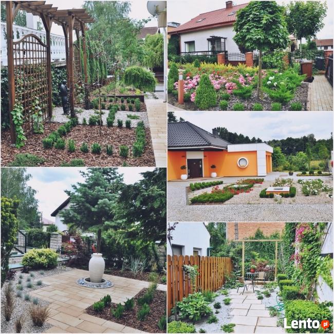 Projektowanie i zakładanie ogrodów