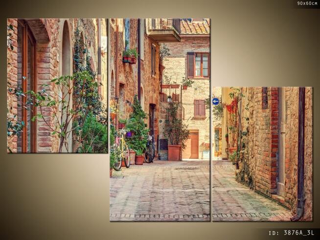 OBRAZY, Stara alejka w Toskanii, Canvas, Obrazy na płótnie