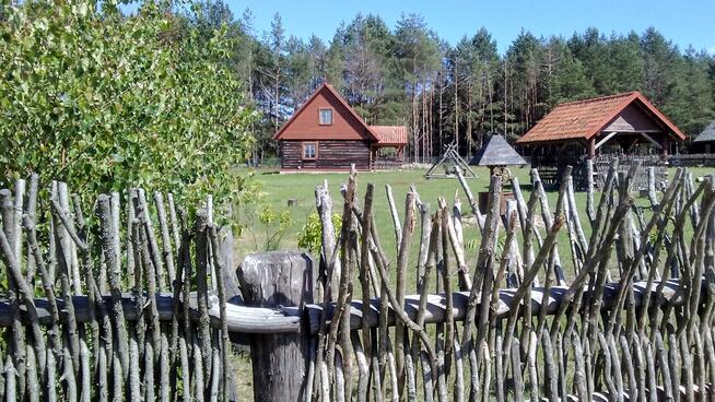 Turystyka aktywna - kajaki, rowery, GRZYBOBRANIE
