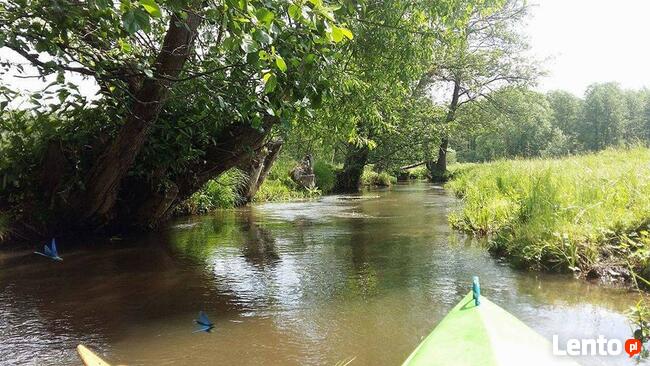 Imprezy zorganizowane :) w okolicy Augustowa