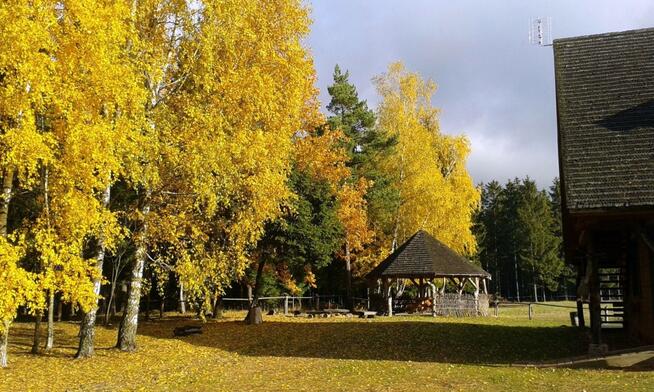 Turystyka aktywna - kajaki, rowery, GRZYBOBRANIE