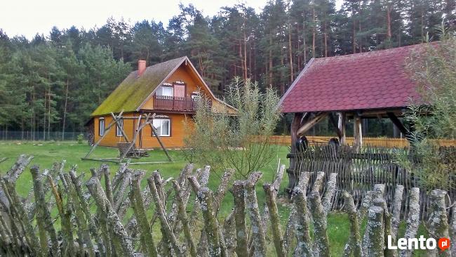 Apartamenty całoroczne do wynajęcia