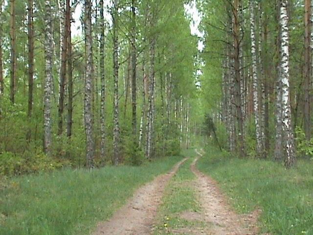 ****!Domek nad jez.Marksoby.MAZURY****