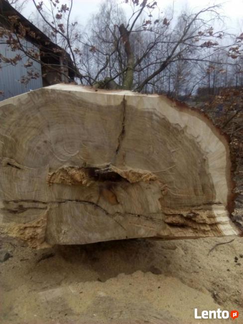 Wycinka ścinka trudnych drzew