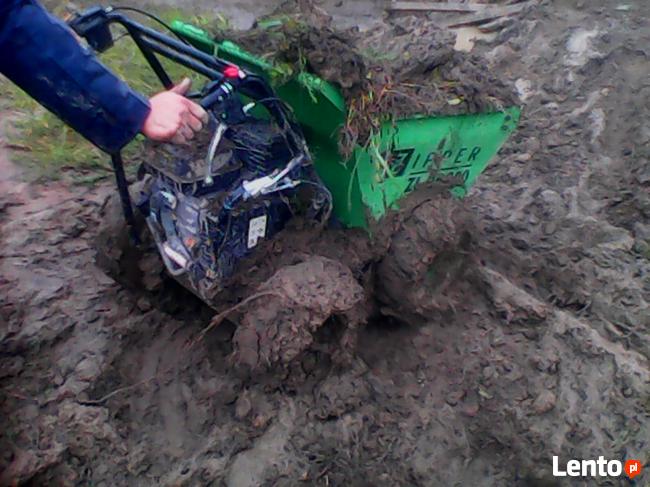 usługi minikoparką, minikoparka, prace ziemne