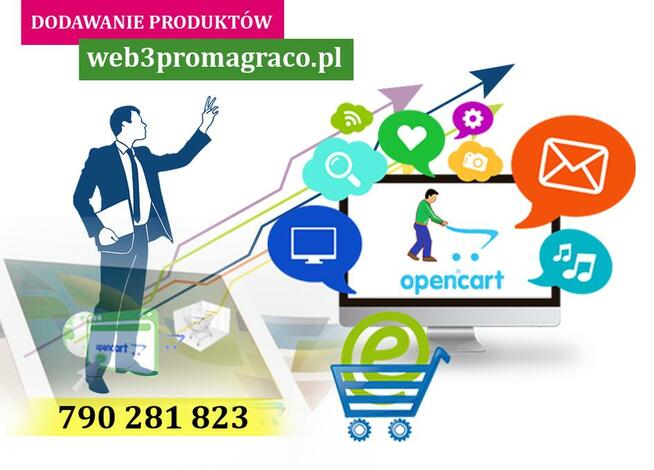 Wystawianie aukcji na serwisy internetowe eBay Allegro Amazo