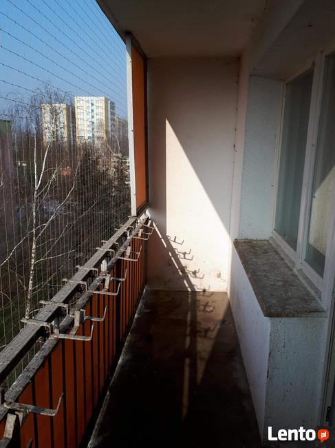 Siatka dla kota, siatka balkonowa