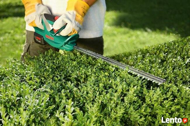 PoRzĄdKoWaNiE Terenów Zielonych, Ogródków Działkowych