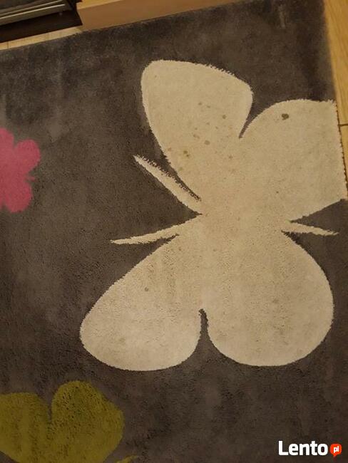 Karcher. Czyszczenie wykładzin dywanów kanap narożników fote