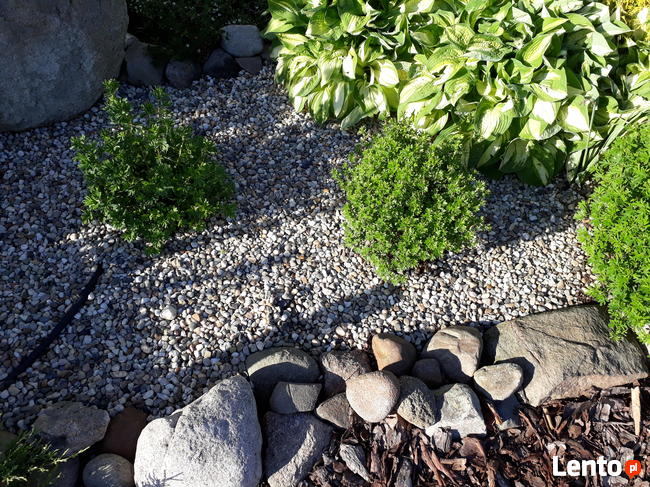 Żwir płukany 16-32 pod drenaż żwir rzeczny ŚLĄSK