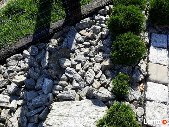 Kora Kamienna Gnejsowa Kamień Kamienie otoczak Nie sosnowa,