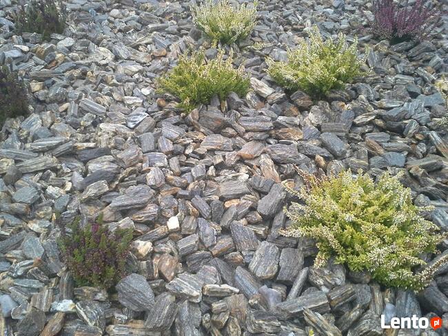 Kora Kamienna Gnejsowa Kamień Kamienie otoczak Nie sosnowa,