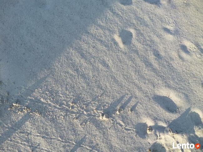 Piasek Płukany 0-2 Piasek na wylewki