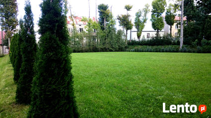 Działkę z domem SPRZEDAM !