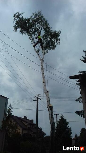 wycinka alpinistyczna