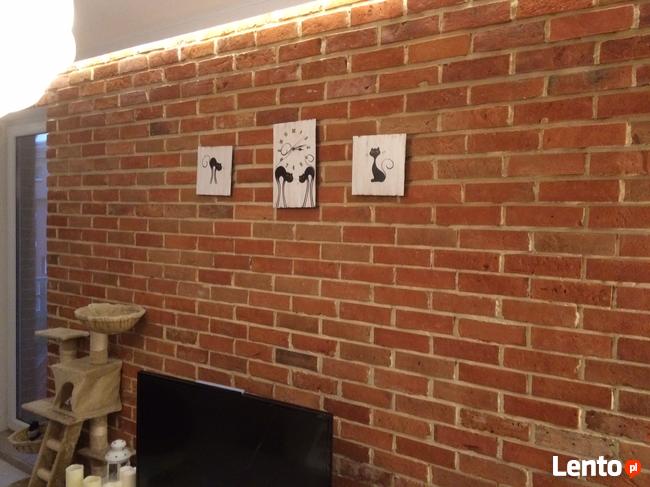Płytki z cegły naturalnej