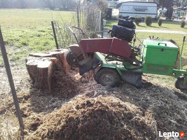 Frezowanie pni, karczowanie pni, usuwanie korzeni