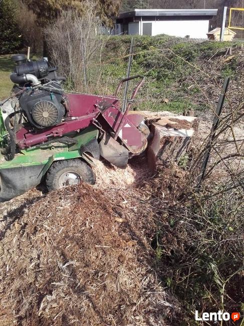 Frezowanie pni, karczowanie pni, usuwanie korzeni