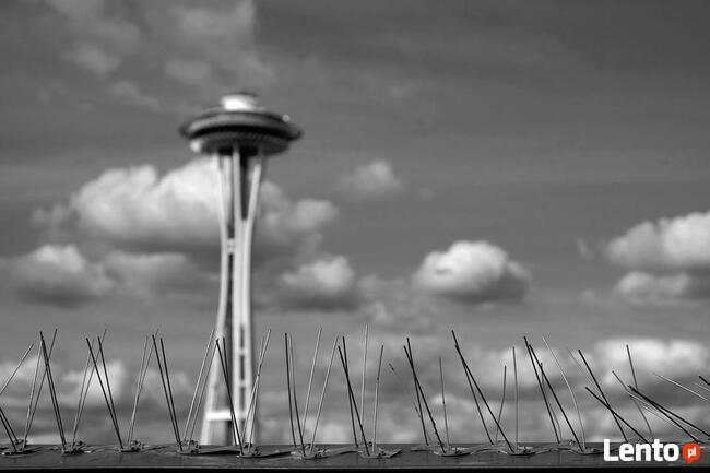 Usługi Podnośnikowe