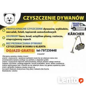 Pranie Czyszczenie Tapicerki Samochodowej, Meblowej, Dywanów