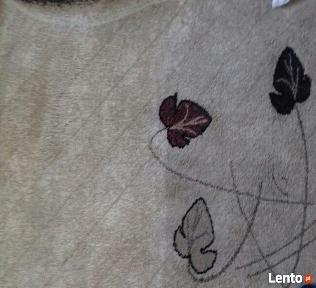 Czyszczenie wykładzin dywanów kanap narożników. Karcher