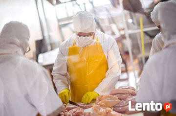 Pakowanie i segregowanie mięsa - Holandia