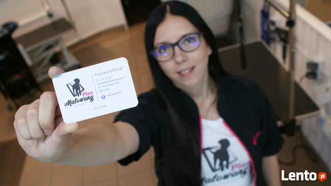 Strzyżenie psów w Warszawie na Śródmieściu - Malowany Pies