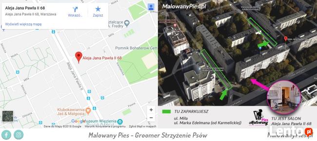 Strzyżenie psów w Warszawie na Śródmieściu - Malowany Pies