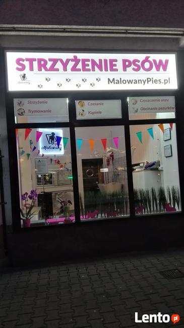 Strzyżenie psów w Warszawie na Śródmieściu - Malowany Pies