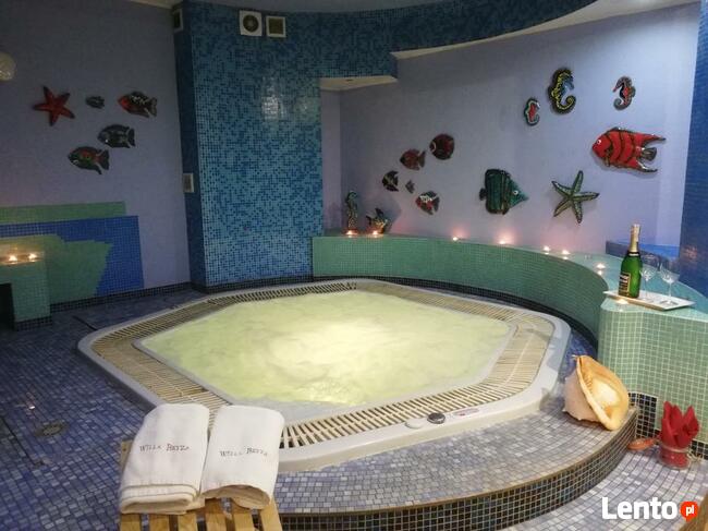 Pakiet biznesowy jednodniowy Willa Bryza, nad morzem