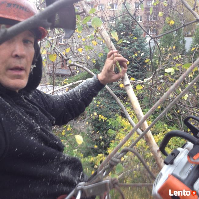 przycinanie drzew owocowych opole 505-933-515